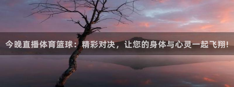 新球体育赛事：今晚直播体育篮球：精彩对决，让您的身体与心灵一起飞翔!
