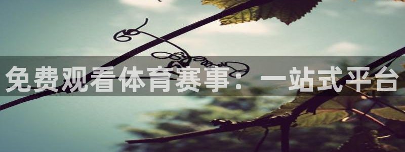 新球体育完整版：免费观看体育赛事：一站式平台