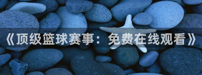 新球体育足球官网：《顶级篮球赛事：免费在线观看》