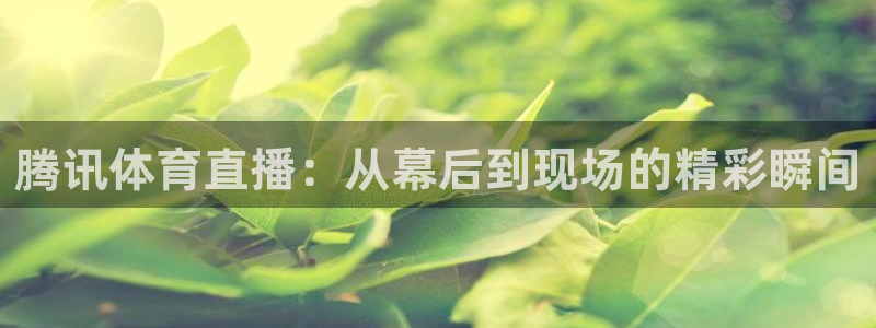新球直播：腾讯体育直播：从幕后到现场的精彩瞬间