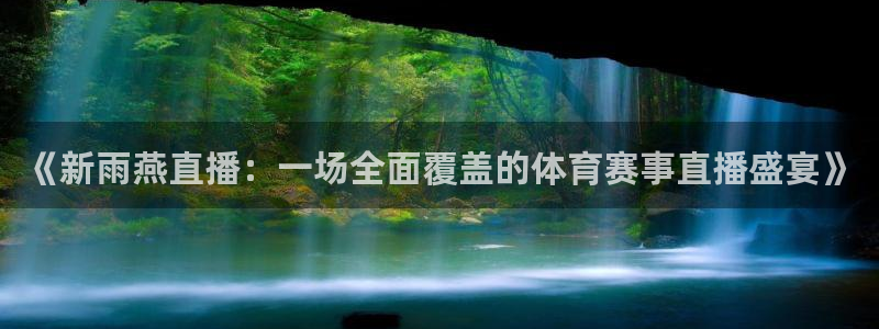 新球体育足球即时比分：《新雨燕直播：一场全面覆盖的体育赛事直播盛宴》