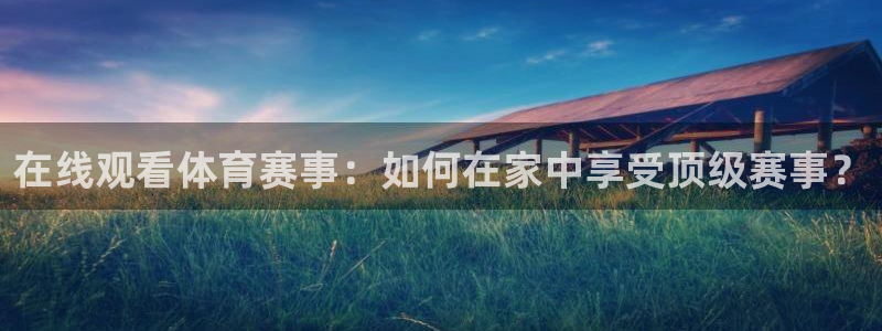 新球体育篮球比分：在线观看体育赛事：如何在家中享受顶级赛事？