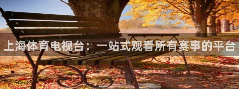 新球体育完整版：上海体育电视台：一站式观看所有赛事的平台