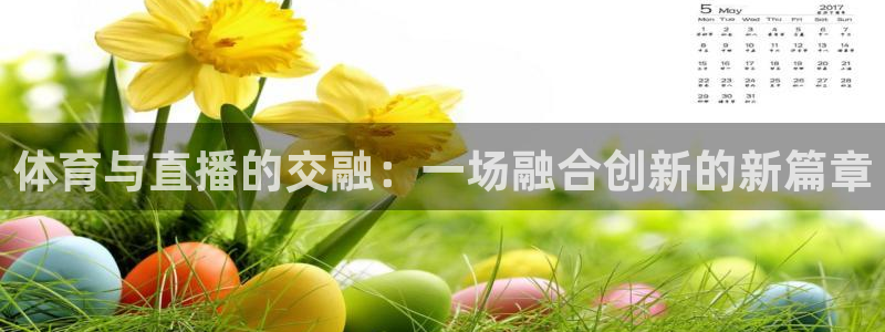 新球体育即时分：体育与直播的交融：一场融合创新的新篇章