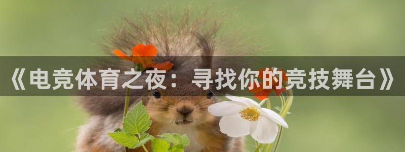 新球体育直播：《电竞体育之夜：寻找你的竞技舞台》
