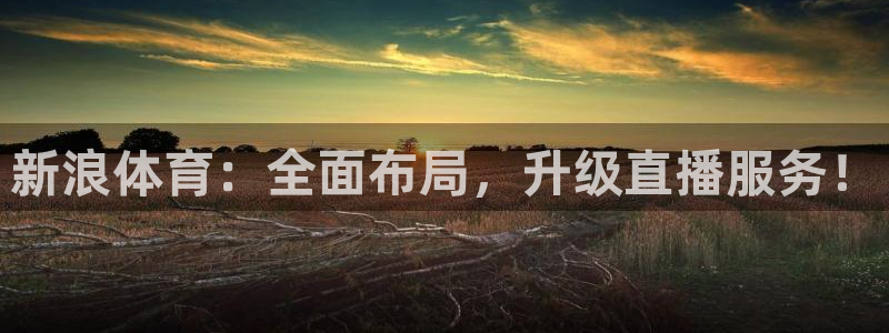 新球直播：新浪体育：全面布局，升级直播服务！