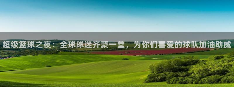 新球体育篮球比分：超级篮球之夜：全球球迷齐聚一堂，为你们喜爱的球队加油助威