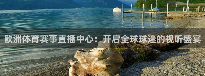 新球体育篮球比分：欧洲体育赛事直播中心：开启全球球迷的视听盛宴