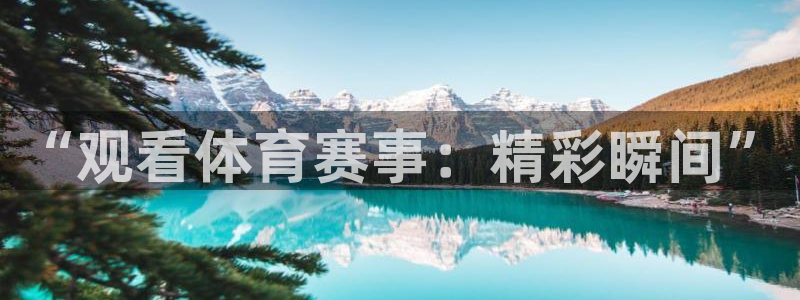 新球体育篮球比分：“观看体育赛事：精彩瞬间”